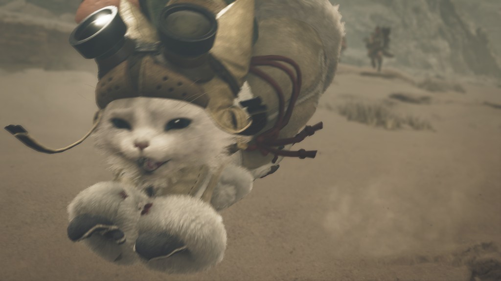 Monster Hunter Wilds, Palico go go go !