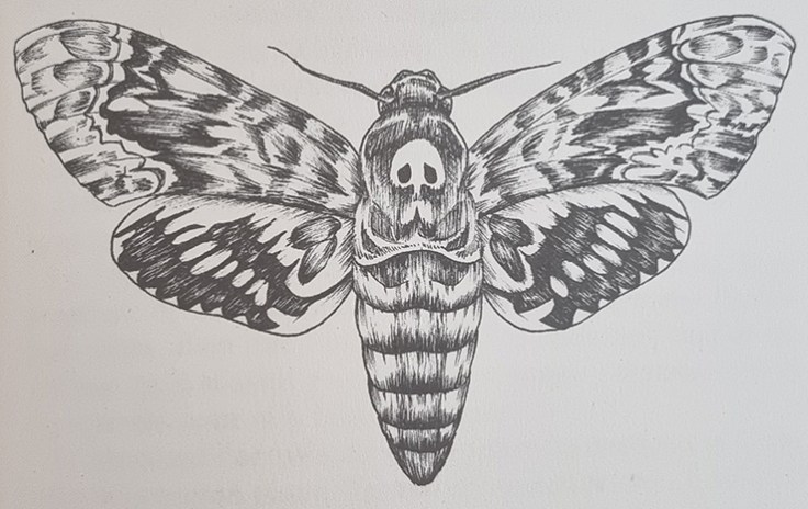 sphinx-de-mort-festin-de-larmes-illustration-morgane-caussarieu-vincent-tassy-actusf