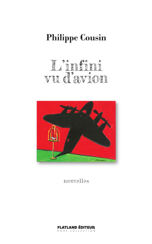 linfini-vu-davion-philippe-cousin
