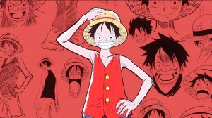 The One Piece Actu